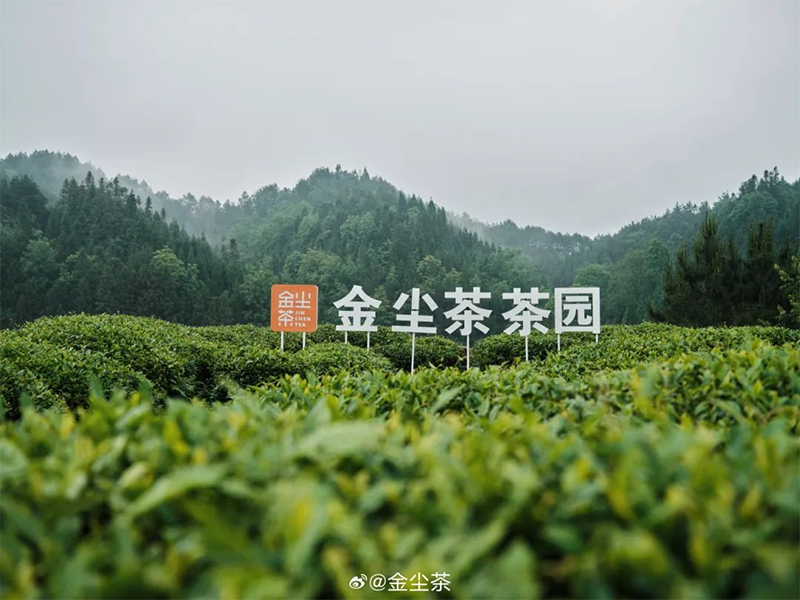 토토